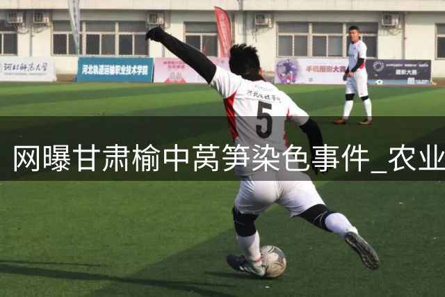 网曝甘肃榆中莴笋染色事件 农业部门回应问题产品已处理